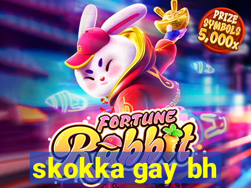 skokka gay bh